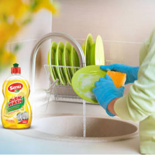 Household Essentials